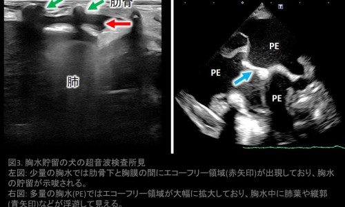 汤臣倍健孕妇多种维生素-汤臣倍健孕妇钙片、汤臣倍健维c孕妇能吃吗 -汤臣孕妇维生素价格网