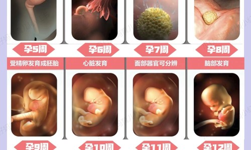 汤臣倍健孕妇多种维生素-汤臣倍健孕妇钙片、汤臣倍健维c孕妇能吃吗 -汤臣孕妇维生素价格网